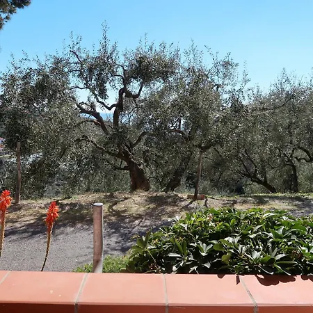 Zenzero E Cannella-2 By Interhome Diano San Pietro