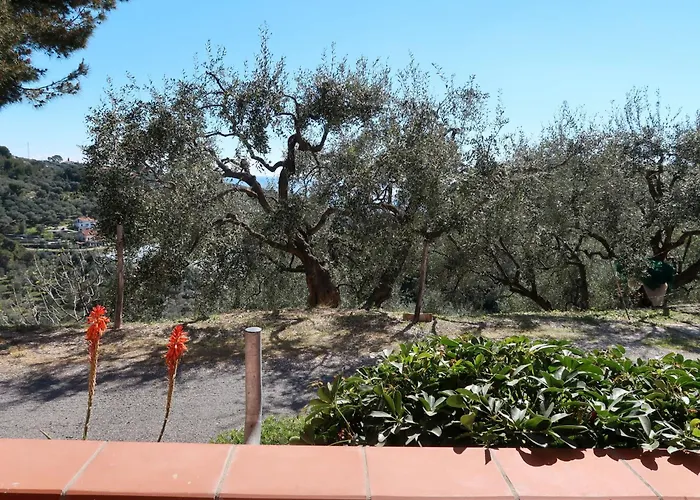 Zenzero E Cannella-2 By Interhome Diano San Pietro